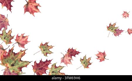 Herbst-Ahornblatt-Rahmen. Aquarell-realistische Herbstblätter in rot, grün, orange und gelb gefärbt. Handgemalte botanische Illustration für Karten Stockfoto