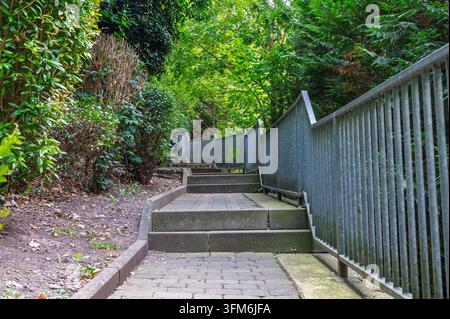 Steinpflastertreppe mit Metallgeländer, umgeben von grünen Bäumen und Büschen im Park. Stockfoto