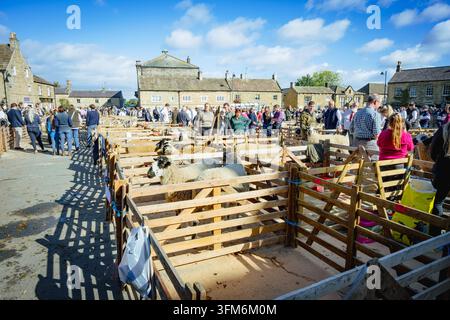 Masham Sheep Fair in North Yorkshire Stockfoto