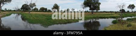 Scenisches Panorama eines Flusses, der sich durch die afrikanische Savanne und Wildnis schlängelt, Okavango-Delta, Botswana, Afrika Stockfoto