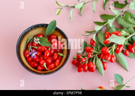 Frische Goji-Beeren und grüne Blätter auf pastellrosa Hintergrund . Stockfoto