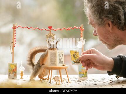 Ein rotes Eichhörnchen beobachtet ein Tarotbuch mit einem Mann, der eine Narrenkarte hält Stockfoto