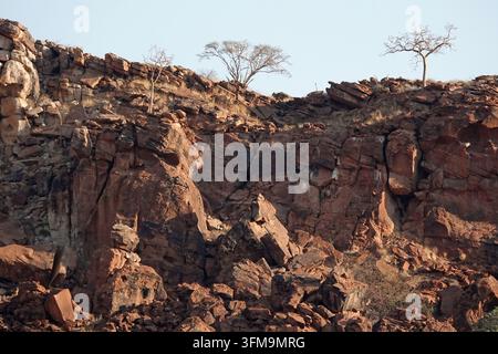 Felslandschaft und trockene Berge in Damaraland, Namibia, Afrika Stockfoto