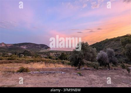 Weite Landschaft in der Dämmerung mit trockenem Buschland im Vordergrund, vereinzelten Olivenbäumen und niedriger Steinmauer, sanfte Hügel im Mittelgrund und pastellrosa und la Stockfoto