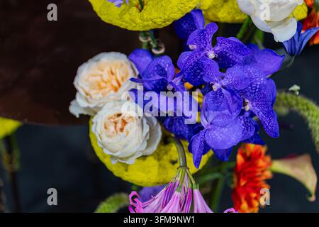 Lebendige Blumenkomposition mit blauen Orchideen und weißen Rosen, dynamische Komposition, satte Farben, elegante Studioatmosphäre, weiches Richtlicht Stockfoto
