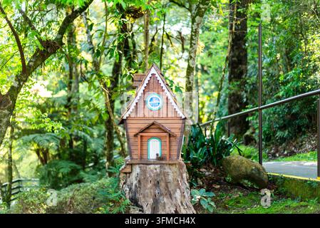Bezauberndes Miniatur-Holzhaus auf einem Baumstumpf im Wald Stockfoto
