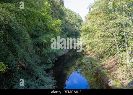 Ruhiger River Derwent, der durch üppige Wälder im Peak District, UK, fließt Stockfoto