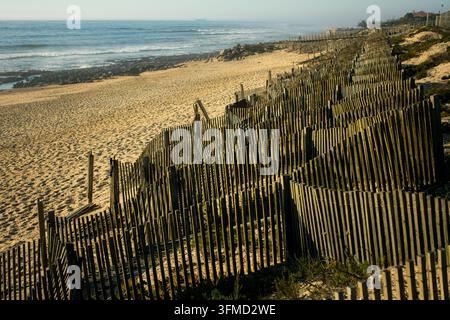 Verwitterte hölzerne Dünenzäune säumen einen sandigen Strand neben Ozeanwellen und felsiger Küste Stockfoto