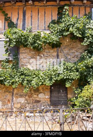 Wenn Weinbergblätter Teil eines rustikalen Steinhauses werden (Calatañazor, Spanien: 18.07.2026) Stockfoto