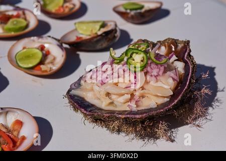 Ceviche serviert in einer stacheligen Austernschale mit Schokoladenmuscheln und Limette auf einem Strandtisch, Baja California Sur, Mexiko Stockfoto