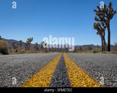 Flacher Blick auf die doppelte gelbe Linie auf einer Straße im Joshua Tree National Park, Kalifornien, USA, vor blauem Himmel Stockfoto