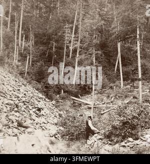Archivfoto einer Waldansicht des Clearfield Branch. USA. 1860-1880. Der Clearfield Branch ist ein wichtiger Nebenfluss des West Branch Susquehanna River im Zentrum von Pennsylvania, der durch die Countys Clearfield und Cambria fließt. In der späten Hälfte des 19. und zu Beginn des 20. Jahrhunderts war dieses bewaldete Tal ein wichtiger Korridor für die boomenden Holz- und Steinkohlebergbauindustrien des Staates, wobei Wasserwege und nahegelegene Eisenbahnstrecken ausgiebig genutzt wurden, um urwaldartige Hemlock- und Weißkieferwälder abzuholzen. Archivfotos dieser Landschaft dokumentieren die dichten Hartholz-Nadelwaldgebiete des Allegheny-Plateaus Stockfoto