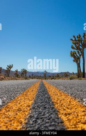 Flacher Blick auf die doppelte gelbe Linie auf einer Straße im Joshua Tree National Park, Kalifornien, USA, vor blauem Himmel Stockfoto