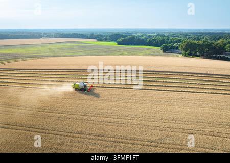 Mähdrescher bei der Getreideernte auf einem riesigen Weizenfeld in weiter Panorama-Luftaufnahme. Spektakuläre Weitwinkel-Luftaufnahme aus großer Höhe über eine ausgedehnte Agrarlandschaft im Hochsommer. Ein markenneutraler Mähdrescher ist beim Dreschen eines enormen Weizenfeldes zu sehen und zieht staubend seine Bahnen, während parallel verlaufende Strohschwaden das Feld strukturieren. Im Hintergrund öffnet sich der Blick weit über angrenzende Felder, Wiesen und Wälder bis zum flachen Horizont unter klarem Sommerhimmel. Ein ideales Übersichts- und Panoramamotiv für Themen wie Erntesaison, Fläc Stockfoto
