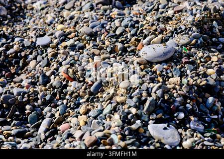 Nahaufnahme von bunten glatten Kieselsteinen und Steinen an einem Strandufer in Italien Stockfoto