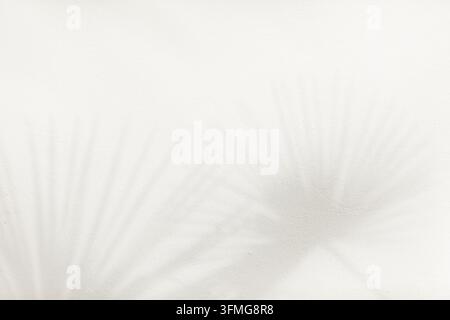 Abstrakter Hintergrund aus Schatten von Palmenblättern auf einer weißen Wand. Oberansicht von tropischen Blattschatten auf sandfarbenem Hintergrund. Stockfoto