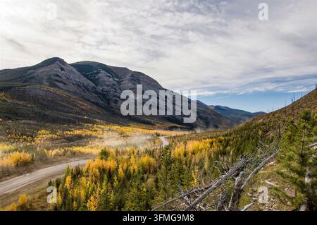 Ein spektakulärer Hochwinkel-Panoramablick auf die Schotterstraße Forestry Trunk Road, auch bekannt als Highway 40, die sich durch ein Bergtal in der Nähe von Ya Ha Tind windet Stockfoto