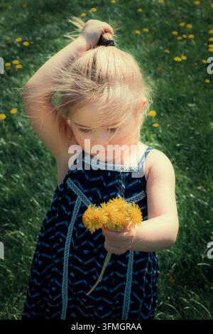 Mädchen sammelt gelben Dandelionen auf einem Rasen Stockfoto