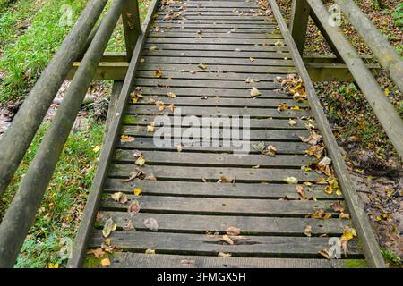 Nahaufnahme einer rustikalen hölzernen Fußgängerbrücke, bedeckt mit gefallenen Herbstblättern, umgeben von üppiger Waldvegetation, ideal zum Wandern, Freiluft-Erholung Stockfoto