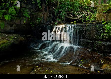 Ein kühlender Wasserfall fließt über einen kleinen Steinwehr an einem Bach in einem bewaldeten, sommerlichen Tal, Dearden Brook, Edenfield, Rossendale, Lancashire. Stockfoto