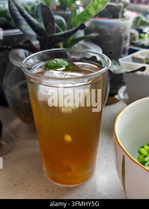 Ein klares Glas Eistee, garniert mit einer Limettenscheibe und Eiswürfeln, steht auf einem Tisch mit grünen Topfpflanzen im Hintergrund Stockfoto
