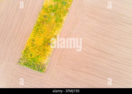 Ansicht von oben geometrischer Bewirtschaftungsmuster, die trockene Erde und wildes Gras in der ländlichen Landschaft zeigen Stockfoto