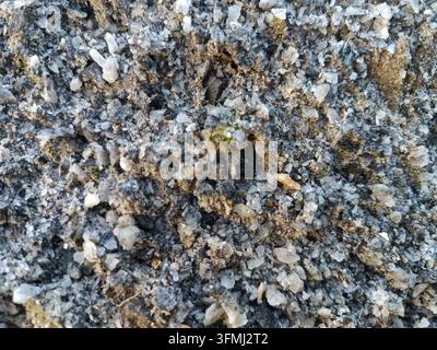 Nahaufnahme von rauem kristallinem Gestein mit natürlichen Mineralfragmenten Stockfoto
