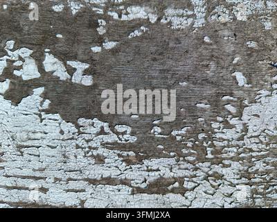 Alte Holzoberfläche mit rissiger und abblätternder weißer Farbstruktur Stockfoto