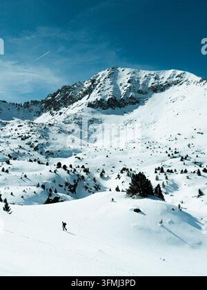 Breite Aufnahme eines weiten schneebedeckten Bergbeckens, umgeben von schroffen Gipfeln und verstreuten Kiefern an einem klaren Wintertag. Stockfoto