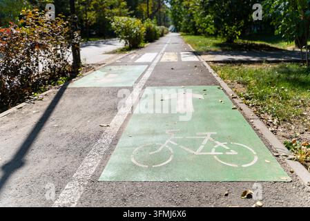 Fahrradweg mit gemalten Richtungsmarkierungen durch einen sonnigen Stadtpark. Stockfoto
