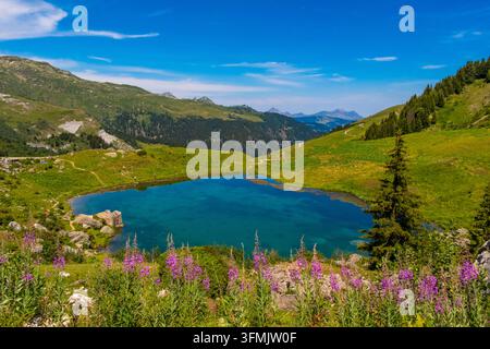 Frankreich, Savoie, Beaufort, Lac des Fees Stockfoto