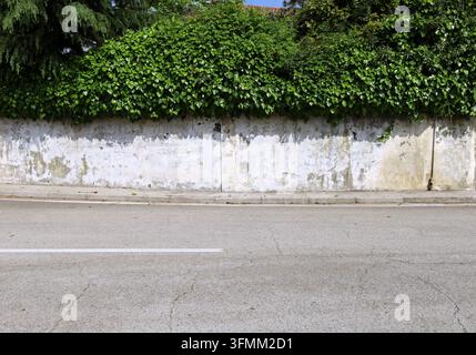 Verwitterter weißer Putz an der umgebenden Wand mit großer Hecke oben. Betonte Gehweg und Straße davor. Grunge-Hintergrund für Kopierraum. Stockfoto