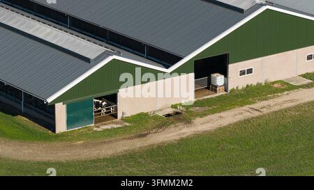 Luftaufnahme eines modernen Bauernhauses mit einem grünen Metalldach und hellen Wänden, mit einer Kuh im Stall und einem Feldweg in Groningen, G Stockfoto