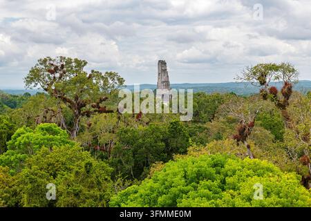Luftaufnahme von Tempel III im Peten-Regenwald, Tikal-Nationalpark, Guatemala. Stockfoto