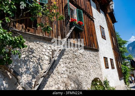 Traditionelle österreichische Holzhaustür mit einer langen hölzernen Katzenleiter, die an einer rustikalen Holzwand zu einem Fenster mit hellroten Geranienblüten lehnt Stockfoto