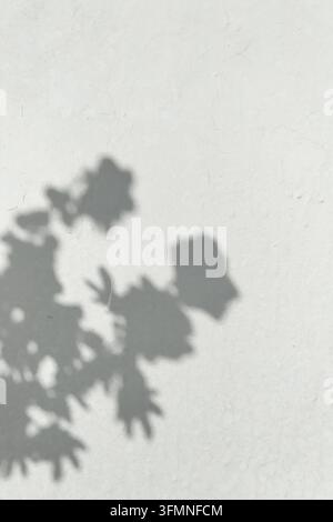 Weiche Schatten von Blumen und Blättern auf einer hellgrauen Putzwand mit feinen Rissen. Vertikaler monochromer Blumenhintergrund mit viel freiem Platz für Stockfoto