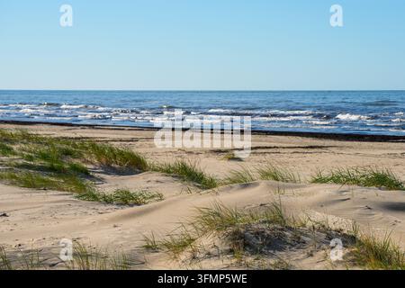 Sanddünen und Strandgras entlang der Ostseeküste unter klarem blauem Himmel im Sommer Stockfoto
