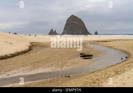 Ein Gezeitenarm schneidet sich durch den Sandstrand in Richtung Haystack Rock entlang der Pazifikküste in Cannon Beach, Clatsop County, Oregon. Stockfoto