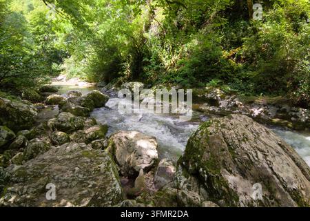 Ein schnell fließender Fluss stürzt über große, moosbedeckte Felsbrocken in einem dichten, grünen Wald. Das Wasser bildet weiße Stromschnellen, während es den felsigen Fluss durchquert Stockfoto
