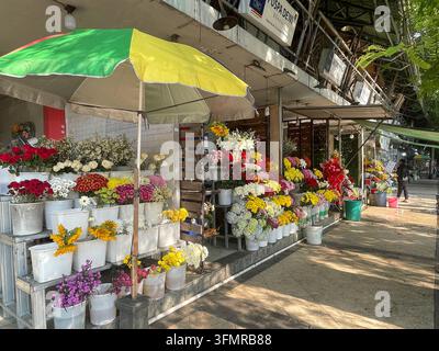 Farbenfroher Blumenladen, der frische Schnittblumen und Blumenarrangements vor Kampung Pelangi Semarang, Zentraljava, Indonesien, am 7. Juni 2026 ausstellt Stockfoto