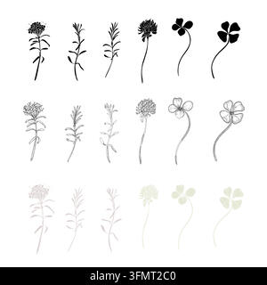Klee-Blätter und -Blüten schwarze Vektorsilhouetten und Wildpflanzen. Satz von Umrissen und Symbolen Rosmarin und Kleeblatt Schattierungszeichnung. Elemente für Stock Vektor