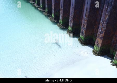 Klares türkisfarbenes Meerwasser kräuselt sich über einen sandigen Strand neben verwitterten Holz-Pflastersteinen, die mit grünen Algen bedeckt sind, am Dünenstrand von Helgoland, Deutschland, v Stockfoto
