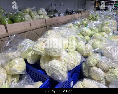 Ein frischer Kohl in transparenter Plastikverpackung, der auf einem Indoor-Gemüsemarkt ausgestellt ist, mit reichlich Gemüse, das in blauen Kisten und Holzkisten angeordnet ist Stockfoto