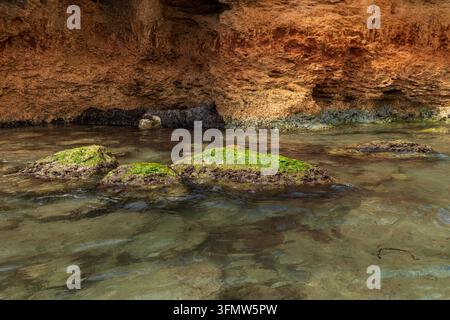 grün moosbedeckte Felsen in kristallklarem Mittelmeerwasser unter Küstenklippen Stockfoto