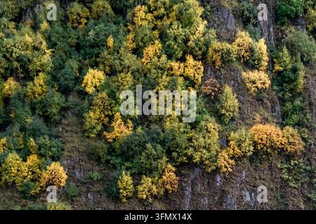 Luftaufnahme von dichten grünen und goldenen Bäumen, die sich über eine schroffe felsige Klippe im herbstlichen Sonnenlicht erstrecken Stockfoto