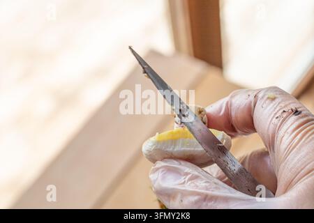 Behandschuhte Hand hält einen Waldpilz und reinigt ihn mit einem Messer Stockfoto