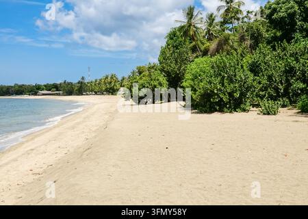 Ruhige Meeresfläche und Sandstrand im Courland Bay Heritage Park an der Great Courland Bay nahe Black Rock, Tobago, Trinidad und Tobago. Stockfoto