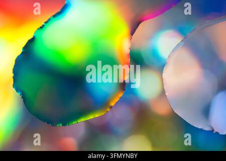 Abstrakte flüssige Komposition mit lebhaften Regenbogenfarben, durchscheinenden organischen Formen und leuchtenden Bokeh-Hintergrundakzenten, die einen träumerischen, irisierenden Hintergrund erzeugen Stockfoto