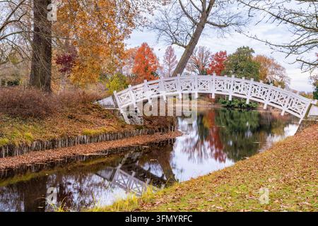 Malerische weiße Holzfußgängerbrücke, die einen ruhigen Teich in einem Herbstpark überspannt. Farbige orange und rote Bäume spiegeln sich im stillen Wasser wider, während der Herbst Stockfoto