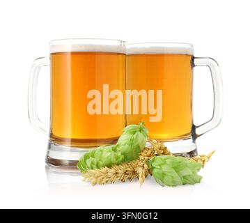 Bier in Glasmuggen, frischer grüner Hopf und Weizenähren isoliert auf Weiß Stockfoto